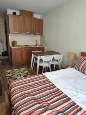 Loft 2 apartments in New Gudauri